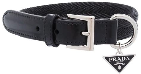 Prada dog collar and leash